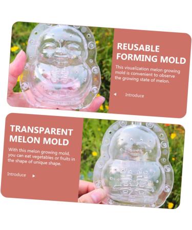 VANZACK Novel Shaping Mold Fruit Ginseng Vegetable Shaping Mold Pear Forming Mold Multi-Function Shaping Mold Tool Small - Buy Online on GoSupps.com