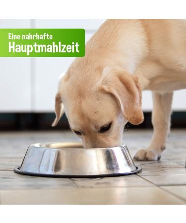 Schecker - 100% PUR Duck - Wet Dog Food - 6 x 410 g - Grain Free - Canned Food - Dog Food - Buy Online on GoSupps.com