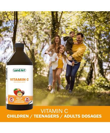 Vitamin C 250ml Immune System Support - Liquid Formula for Maximum Absorption - for Kids and Adults - Great Taste - Vegan - Non-GMO Gluten Free No Sugar Added - Made in Canada (Pack of 2) 250 ml (Pack of 2) - Buy Online on GoSupps.com