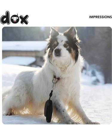 Ddoxx Dog Leash - Reflective Nylon Bite-Proof Roller Break & Lock System 4m for Dogs Up to 10kg - Blue - Buy Online on GoSupps.com