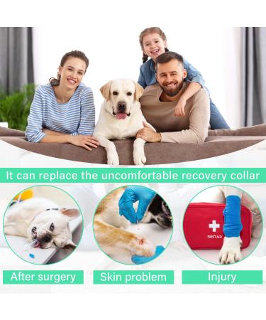 Etdane One - Divider for Dogs | Surgery Recovery Suit Prevents Hair Loss Sports Shirt & Anxiety Jumpsuit | Size S Blue - Buy Online on GoSupps.com