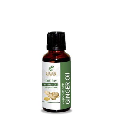 Ginger Root Oil -(Zingiber Officinale)- Essential Oil 100% Pure Natural Undiluted Uncut Therapeutic Grade Oil 0.51 Fl.OZ GINGER OIL 15ML (0.51 Fl.OZ)