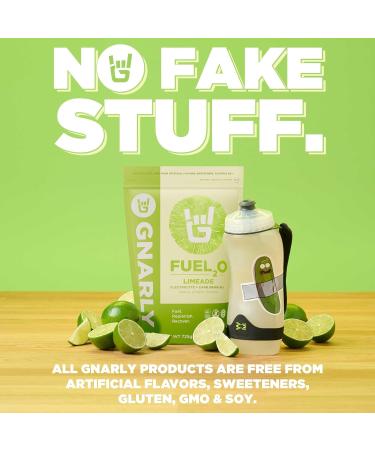Gnarly Nutrition Fuel2O Electrolyte Powder Limeade NSF Sport Certified Electrolyte Solution Fuel Replenishment and Recovery Fuel2O Endurance Nutrition Limeade 25.57 oz Limeade Bag (25 servings) - Buy Online on GoSupps.com