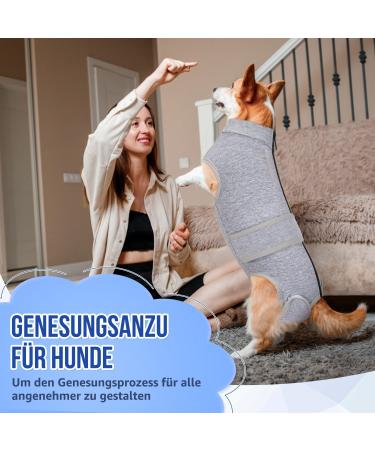 Slowton Dog Recovery Suit - Soft Breathable Anti-Wound Licking Zipper Suit for Male Dogs After Surgery - Comfortable E-Neck Band Gray - Buy Online on GoSupps.com
