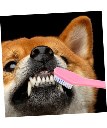 Levemolo 12pcs Double Head Dog Toothbrush Dog Oral Cleaning Toothbrush Cat Toothbrush and Toothpaste Pet Pp - Buy Online on GoSupps.com
