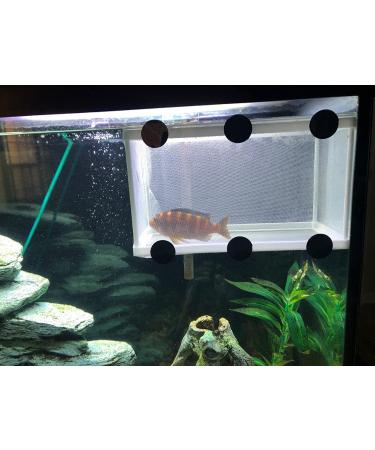 Large Fish Tank Breeder Net w/ Suction Cups | Nylon Mesh Aquarium Breeder Box for Fish Fry Hatchery & Breeding - Buy Online on GoSupps.com