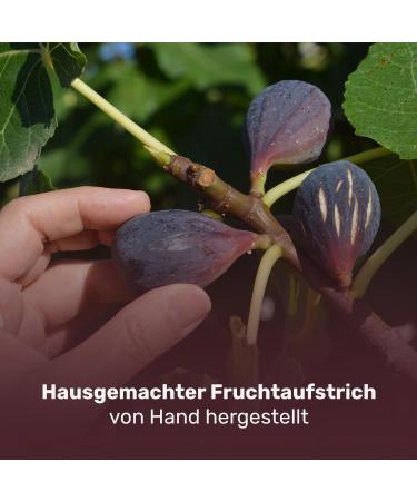 Aristos Evlogia Fruit Spread Greek Figs | Sugar-free jam breakfast spread bread spread everyday food - Buy Online on GoSupps.com