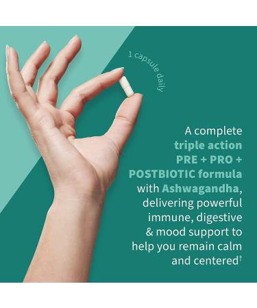 Dr. Formulated Calm 3-in-1 Probiotics with Ashwagandha - Immune, Digestive & Mood Support - 30 Day Supply - Buy Online on GoSupps.com