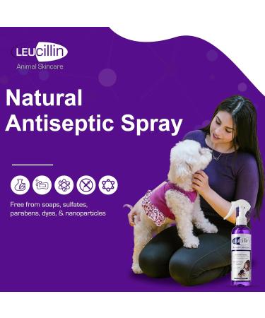 Leucillen 500ml. Hypochlorous First Aid Spray. Horse or Pet Use - Buy Online on GoSupps.com