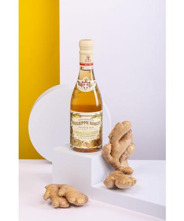  Giusti Giuseppe Giusti Sweet and Sour Ginger Vinaigrette Specialty Ginger (1 x 0.25 L) - Buy Online on GoSupps.com