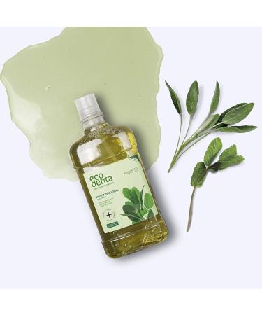 Ecodenta Alcohol-Free Fluoride Mouthwash for Kids - 500 ml Mint - Buy Online on GoSupps.com