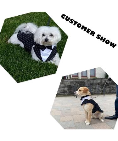 Dog Smoking Suit | Stylish Striped Gentleman Wedding Outfit for Dogs | Formal Pet Clothing - Buy Online on GoSupps.com