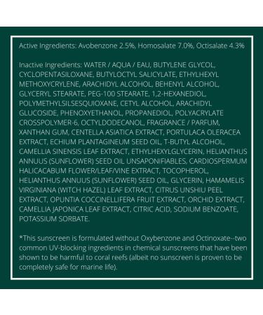 innisfree Daily UV SPF 36 Sunscreen Face Lotion - Buy Online on GoSupps.com