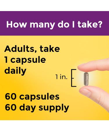 Nature Made Multi + Elderberry Capsules 60 Count - Daily Immune Support for Men and Women - Buy Online on GoSupps.com