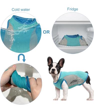 Dog Cooling Vest - Summer Breathable Mesh Jacket for Small to Medium Dogs (XL Green) | Ice Cooling T-Shirt with Reflector Strips - Buy Online on GoSupps.com