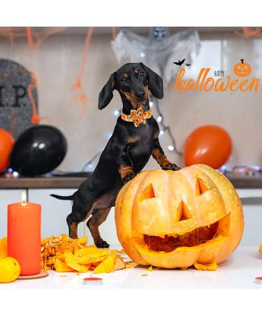Enchanting Halloween Dog Collar with Flower - Aring Pet Costume - Perfect XS Gift for Boys & Girls - Pumpkin Ghost Design - Buy Online on GoSupps.com