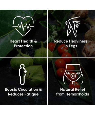 Reduce Varicose Veins & Boost Circulation with 60 Easy-to-Swallow Ayurvedic Tablets of Ashwagandha Punarnava Turmeric & Triphala | Reduce Leg Ankle & Feet Swelling Support Heart & Rectal Health Beginners Pack! - Buy Online on GoSupps.com