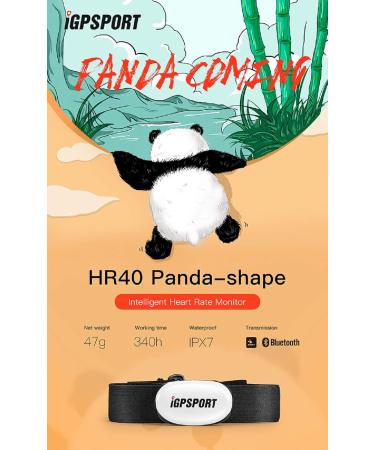 IGPSport HR40 Heart Rate Monitor - Bluetooth & Ant+ Chest Strap for Running Cycling Gym | Compatible with Garmin Polar Wahoo - Buy Online on GoSupps.com