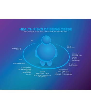 Portions Master All in One Plate - Diet Weight Loss Aid for Food Management and Servings Control - Buy Online on GoSupps.com