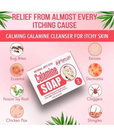 Calming Calamine Soap Bar for Itchy Skin - Natural Instant Relief for Bug Bites, Eczema, Poison Ivy, Chicken Pox - 4oz (Pack of 2) - Buy Online on GoSupps.com