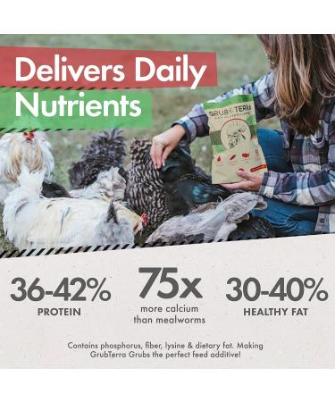 GrubTerra Natural Black Soldier Fly Larvae Chicken Treats - Made in USA & Canada - High Calcium for Chickens, Ducks, and Wild Birds - 5lb Pack (1ct) - Buy Online on GoSupps.com
