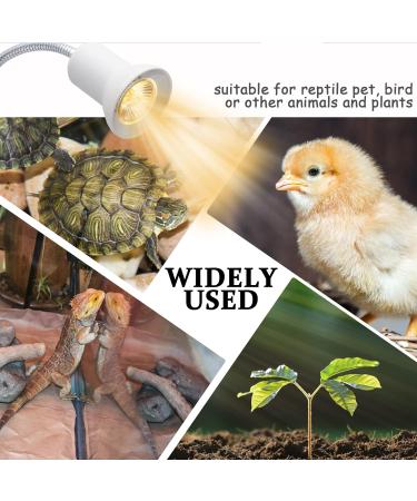 WEEVDRIE Portable Terrarium Heat Lamp 40CM with Clip, 360 Rotating Neck, Dimmer Switch - Ideal for Reptiles, Turtles, Lizards, and Tortoises - White - Buy Online on GoSupps.com