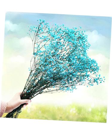 2pcs Plant Decor Gifts Dried Flowers The Gift Dried Flower Decor Creative Preserved Flower Preserved Flower Decor Romantic Preserved Flower Artificial Gypsophila Bluex2pcs 60X20cmx2pcs - Buy Online on GoSupps.com