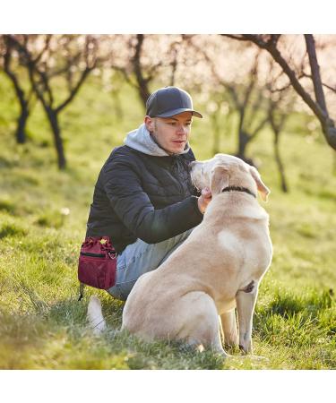AOKLANT Dog Treat Pouch Dog Training Pouch Bag with Waist Shoulder Strap 3 Ways to Wear Easily Carries Pet Toys Kibble Treats Personal Effects Red - Buy Online on GoSupps.com