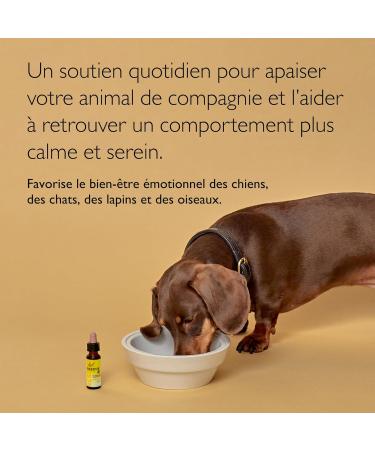 RESCUE Pets Dropper 20 ml Serenity for Pets Ideal for Travel Veterinary Visit Grooming Noise Loneliness Alcohol-free Natural and Vegan - Buy Online on GoSupps.com