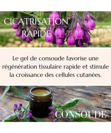 Green idea Gel de Massage au Consoude 500 ml | Gel Naturel pour Soin de la Peau Muscles et Articulations | Avec Extrait de Symphytum Officinale et Alanto ne | Cosm tique Naturelle - Buy Online on GoSupps.com