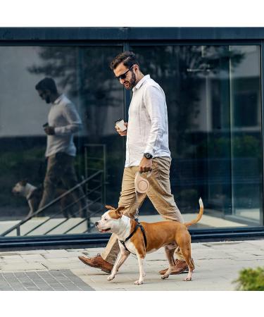 Beowanzk 5m Retractable Dog Leash for Small/Medium Dogs and Cats - One-Hand Brake Pause Lock (Gold) - Buy Online on GoSupps.com