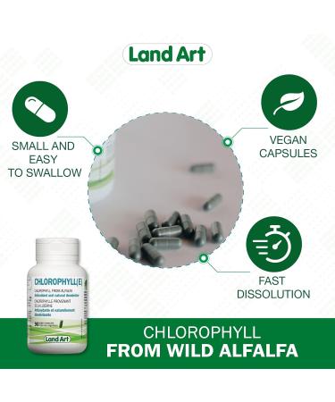 Chlorophyll Capsules - 90 pills - Cold Extracted from Non-GMO Alfalfa - Detox - Alkaline - Natural Body Deodorant Antioxidant - Made in Canada- PACK OF 2 - Buy Online on GoSupps.com