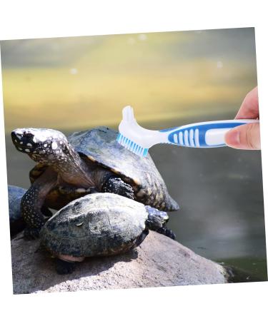 Turtle Shell Cleaning Brush Reptile Cleaning Brush Denture Brush for Shell Grip Cleaning Brush Double-side Tortoise Food Bristle Brush Household Plastic - Buy Online on GoSupps.com