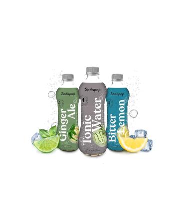 Sodapop Ginger Ale Syrup - Bar Edition | Easily Makes 4L | 500ml Ready Drink | 1 Pack - Buy Online on GoSupps.com