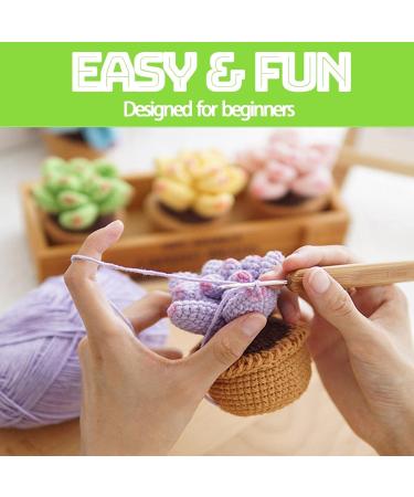 FECLOUD Crochet Knitting Kit for Beginners - Succulent Theme - Step-by-Step Video Tutorials Included - Buy Online on GoSupps.com
