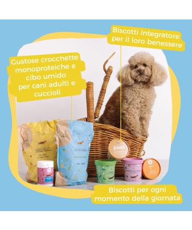 Hygge Dog Turkey Monoprotein Wet Dog Food | with Zucchini Apples and Blueberries | Canned Food for Adult Dogs on Offer | Grain Free Ideal for Sensitive Dogs | Made in - Buy Online on GoSupps.com