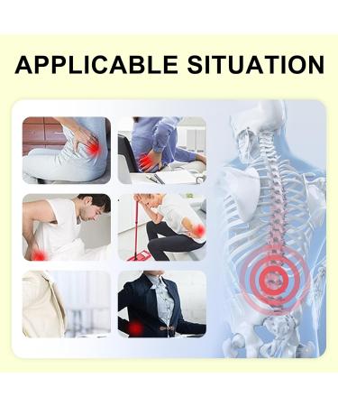 Buy Back Brace for Lower Back Support | Unisex Lumbar Support Belt for Herniated Disc & Recovery | Adjustable Breathable Waist Protector (Large) - International Shipping Available - Buy Online on GoSupps.com