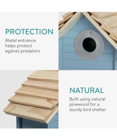 Navaris Wooden Bird House - Garden Nesting Box for Small Birds - Pine Wood Birdhouse - Real Wood Nester Cabin for Robins Blue Tits Sparrows - Blue - Buy Online on GoSupps.com