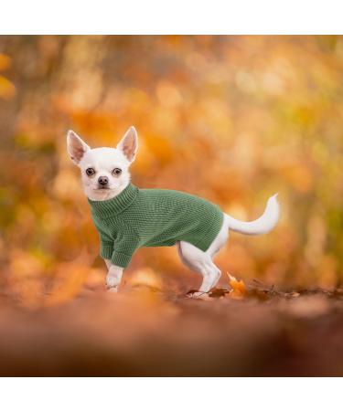 Shop Convinit Winter Dog Sweater for Small & Medium Breeds | Warm Knitted Roll Collar for Chihuahua Dachshund French Bulldog - Green - Buy Online on GoSupps.com