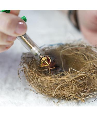 BioTat Syringe for Food | LOOFES HOLDEN Bird Feed Injector Kit - Easy Clean Hand Feed Set for Sick Birds | 20ml Edizin - Buy Online on GoSupps.com