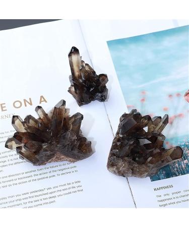 Minerals Stones Natural Transparent Tawny Stone Stone Quartz Crystal Cluster Cleaning degrupting Ornaments for Decoration Crystal Stones Decoration Natural Stones and Minerals (Color : Smoked Quartz 150-200g Smoked Quartz - Buy Online on GoSupps.com