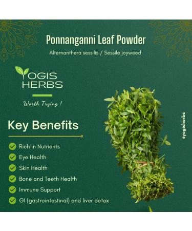 Ponnanganni Leaf Powder - Holistic Health Supplement for Eye Skin Bone & Immune Wellness | Natural Detox Aid - 100 GMS (3.5 oz - Buy Online on GoSupps.com