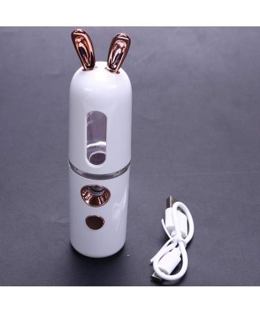 ENERRGECKO Portable Face Bottle Nano Steamer Face Sprayer 30Ml Face Beauty Instruments(White) - Buy Online on GoSupps.com