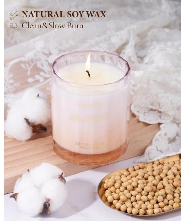 Buy M&SENSE Rose Scented Candles - Natural Soy Wax Luxury 60 Hour Burn Candle for Home Perfect Valentine's Day Gift for Women - Relaxation & Aromatherapy - Buy Online on GoSupps.com