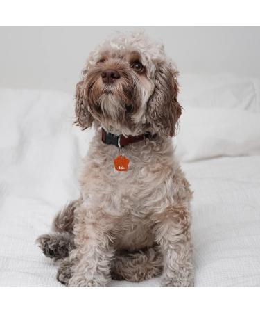 Buy Engraved ENGRAVO Dog Tag Paw - Custom Personalization in Orange | Small 26mm International Shipping - Buy Online on GoSupps.com