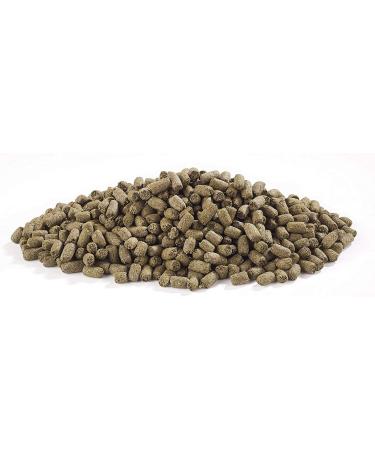 Harringtons Optimum Guinea Pig Food 10kg - Balanced Wholesome & Tasty - Buy Online on GoSupps.com