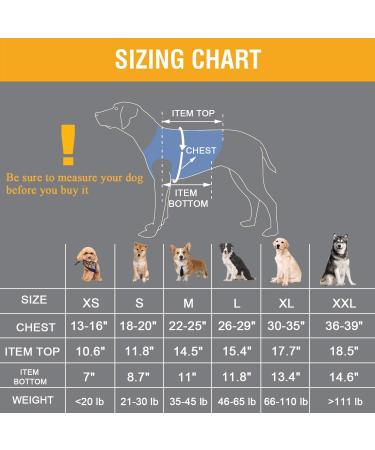 COODEO Dog Lift Harness Pet Support & Rehabilitation Sling Lift Adjustable Padded Breathable Straps for Old Disabled Joint Injuries Arthritis Loss of Stability Dogs Walk (Blue L) Blue Large - Buy Online on GoSupps.com