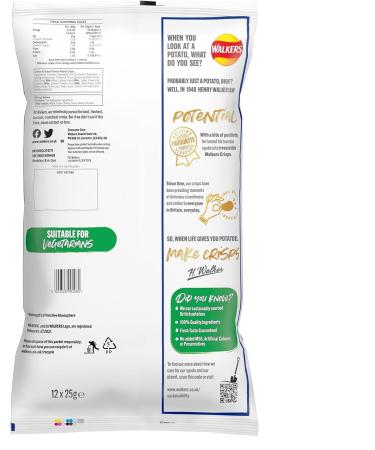 Walkers Cheese and Onion Vegetarian Multipack Crisps Ideal for Lunch and Snacking 12x25 g (Pack of 2) 25 g (Pack of 24) - Buy Online on GoSupps.com