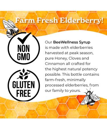 Norm's Farms Elderberry Extract & BeeWellness Syrup w/Pure Honey Bundle 2PK - Immune Support Elderberry Syrup for Kids & Adults - Made in USA Natural Ingredients Vegan Gluten-Free Non GMO (8 Oz) Elderberry Extract + Bee  - Buy Online on GoSupps.com
