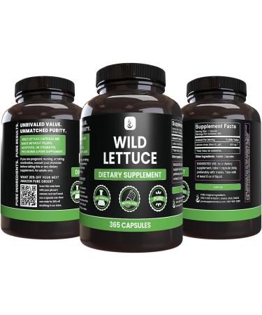 PURE ORIGINAL INGREDIENTS Wild Lettuce (365 Capsules) No Magnesium Or Rice Fillers Always Pure Lab Verified 365 Count (Pack of 1) - Buy Online on GoSupps.com